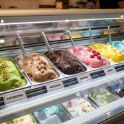 Bacinella Gelato Inox