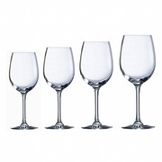 Calici_Cabernet_Tulipe_Arc_Apad