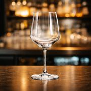 silhouette-calice-vino-cl-47-arcoroc-Apad